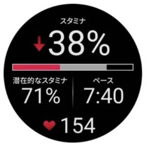 ガーミン970のリアルタイムスタミナ